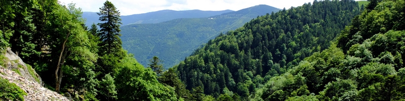 En forêt, en montagne ou en plaine, la nature a ses dangers et ses secrets